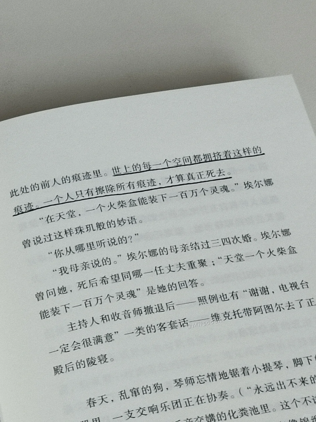 “但或许自由同时也意味着彻底的荒芜。”
