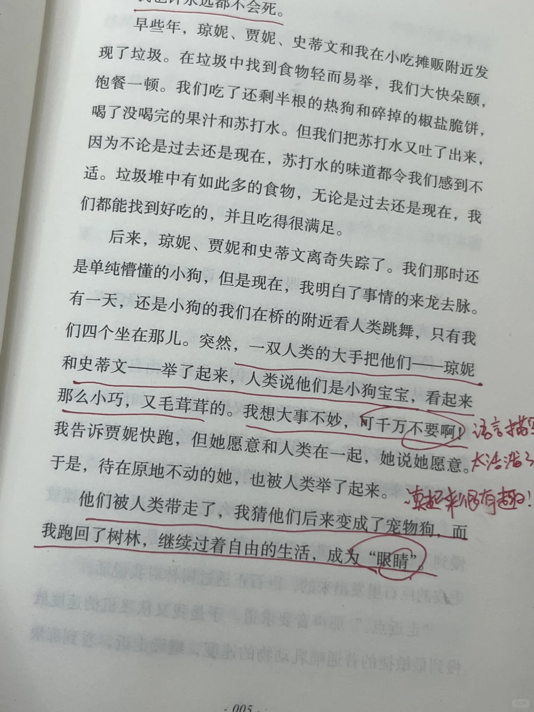 挖到宝了‼️我愿称之为儿童文学天花板！！！