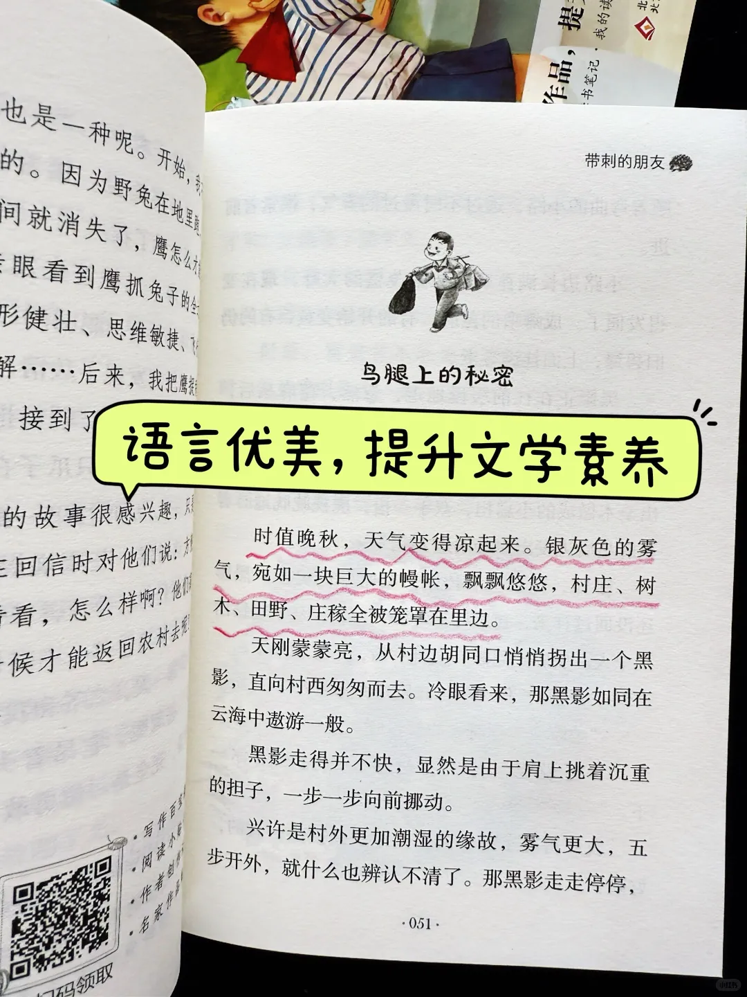 学霸写作文的优秀素材来源🔥🔥