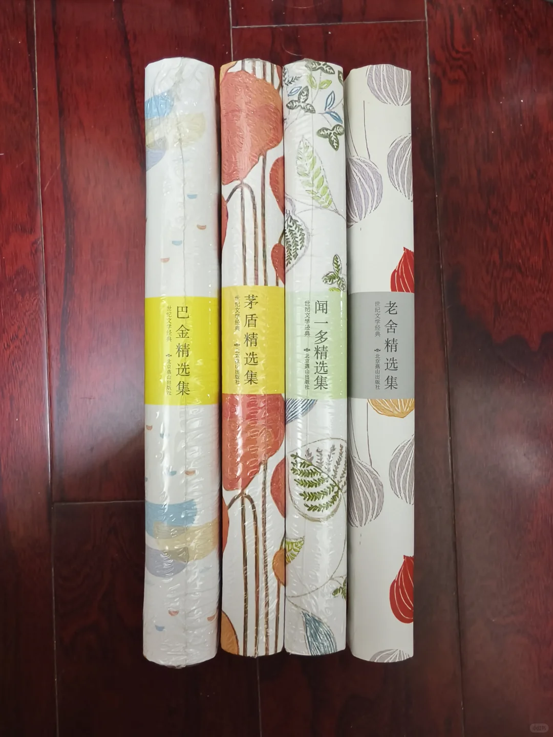 世纪文学经典
