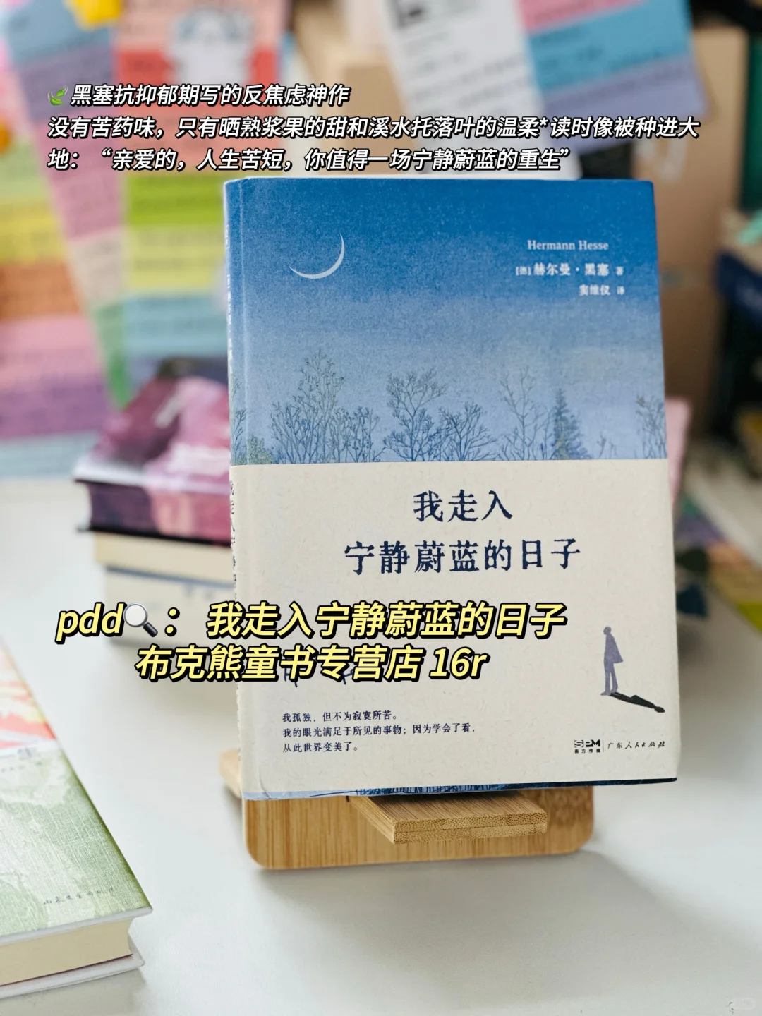 阅读书单｜这个月读到的仙品！每一本都好爱