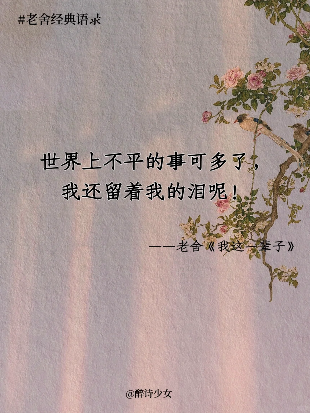 老舍笔下的绝美好句！