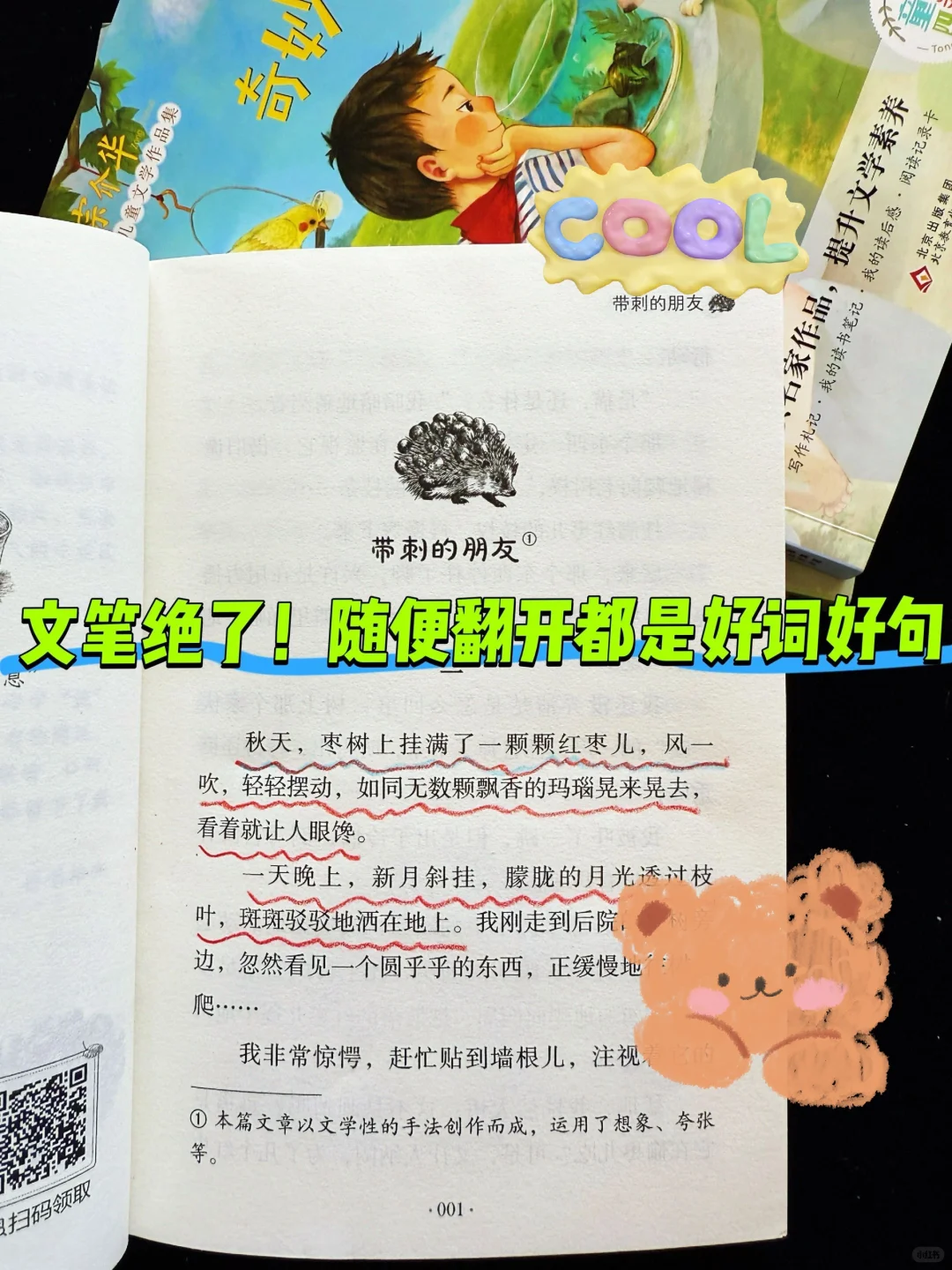 学霸写作文的优秀素材来源🔥🔥