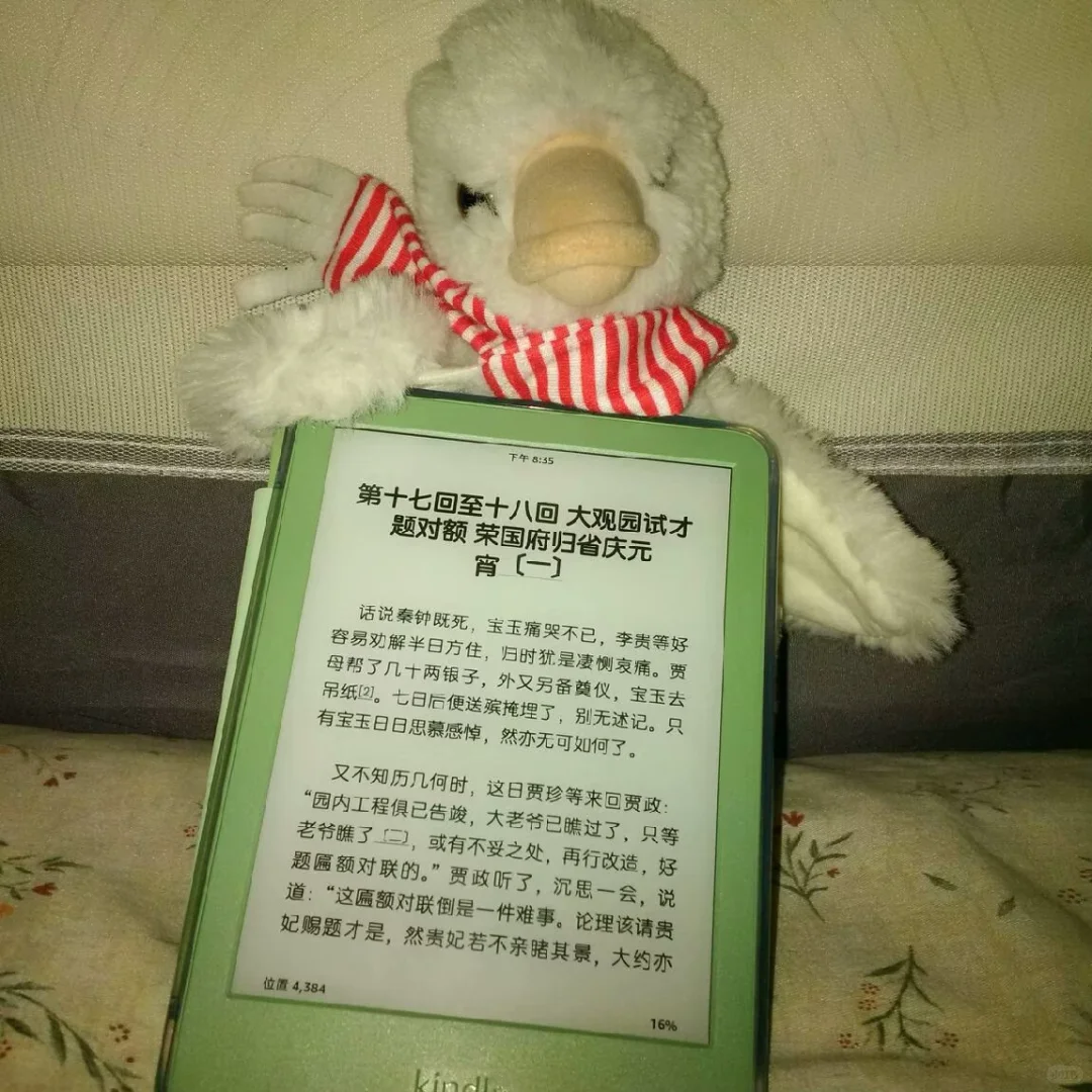 ➗Kindle2024抹茶绿（几乎全新）