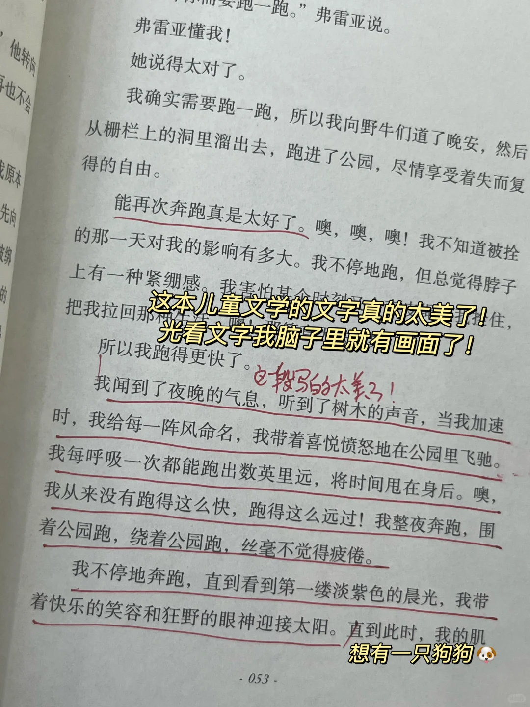 挖到宝了‼️我愿称之为儿童文学天花板！！！
