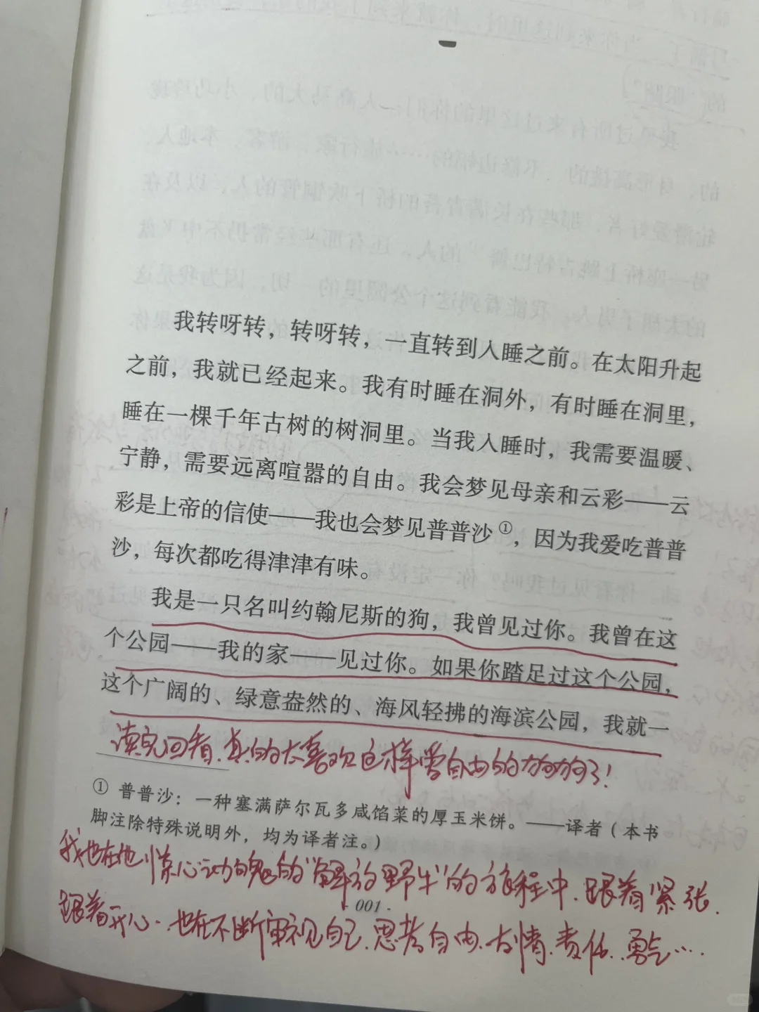 挖到宝了‼️我愿称之为儿童文学天花板！！！
