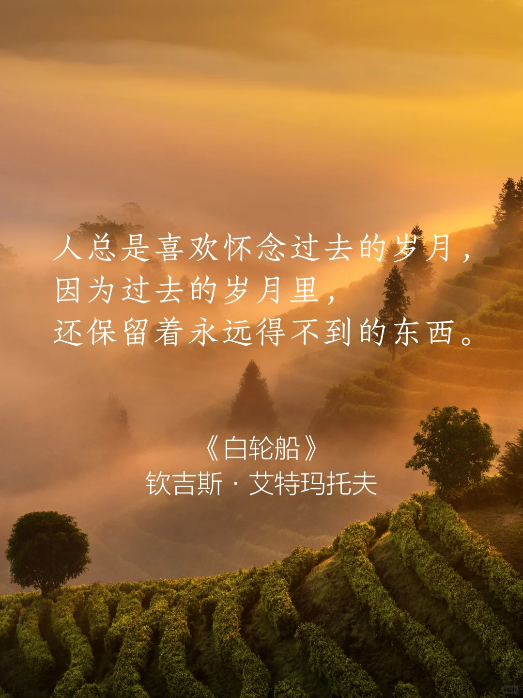 句子很短 后劲很大