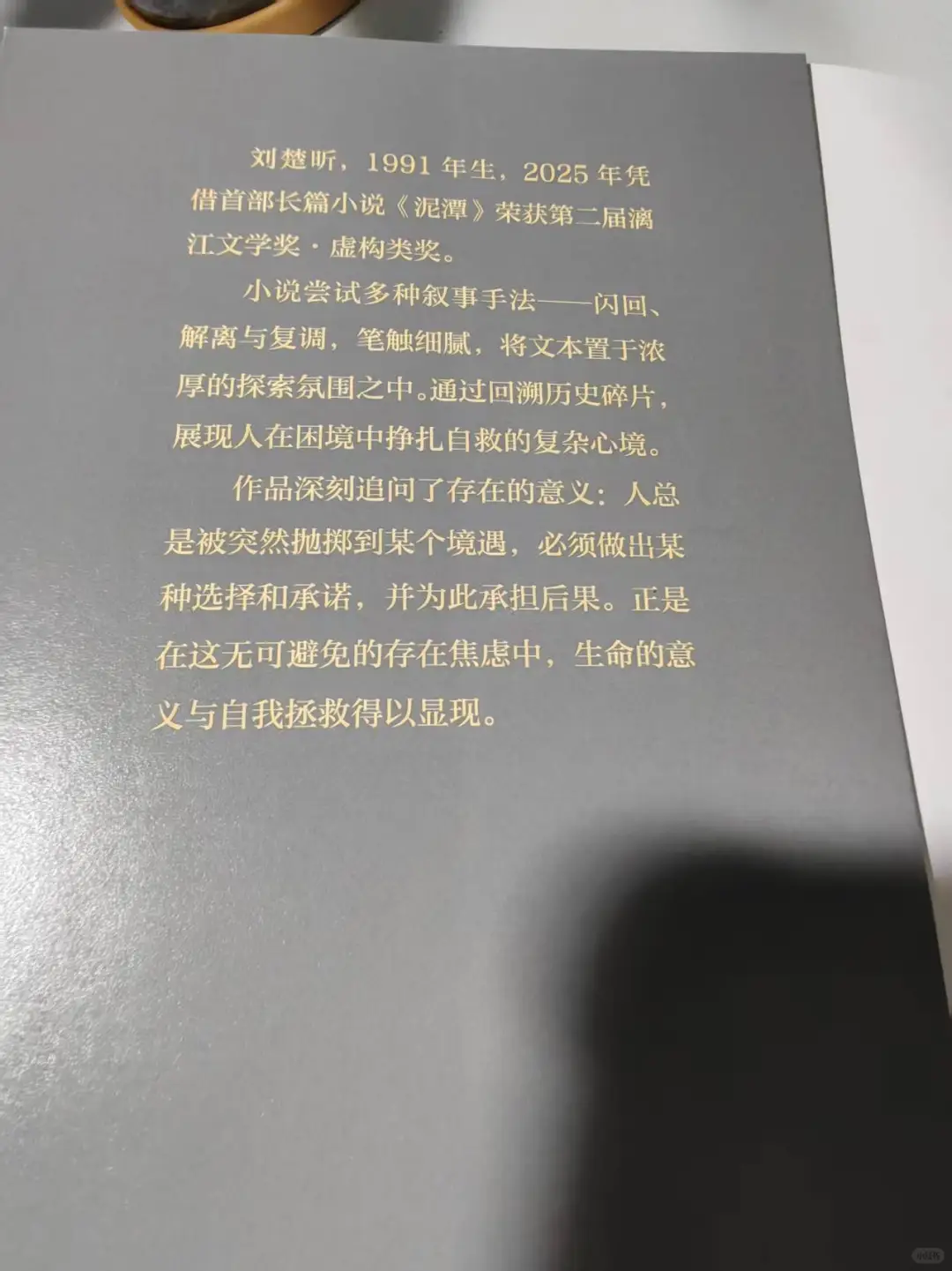 《泥潭》——在坠落中，触摸生命的质地 ?