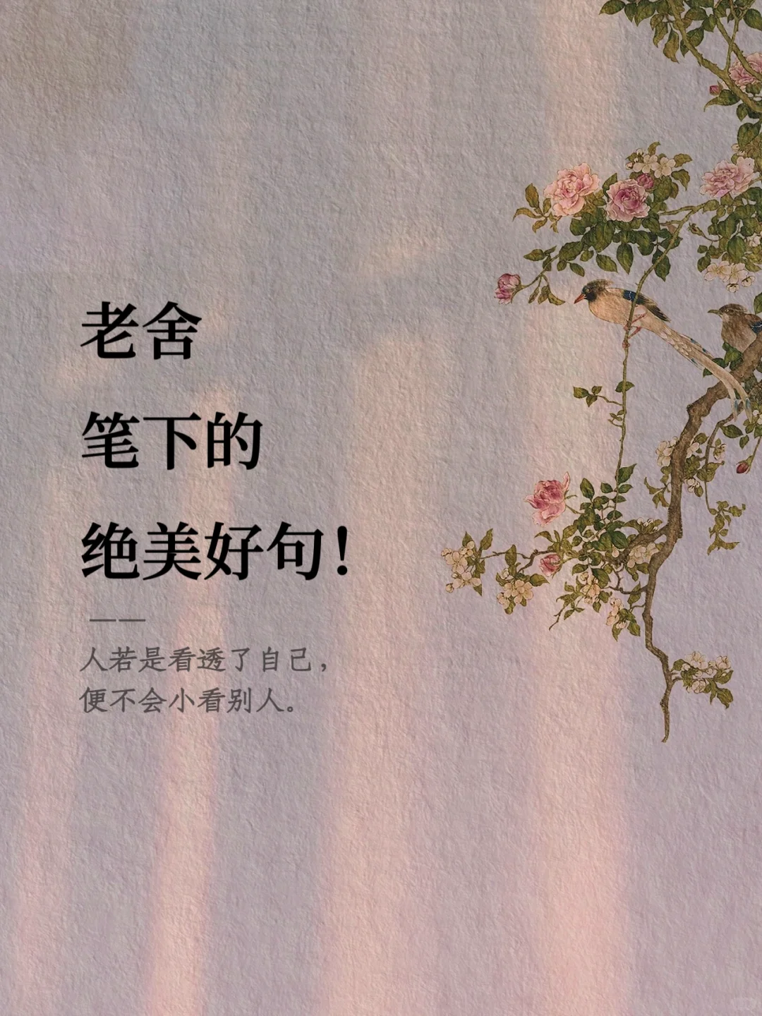 老舍笔下的绝美好句！