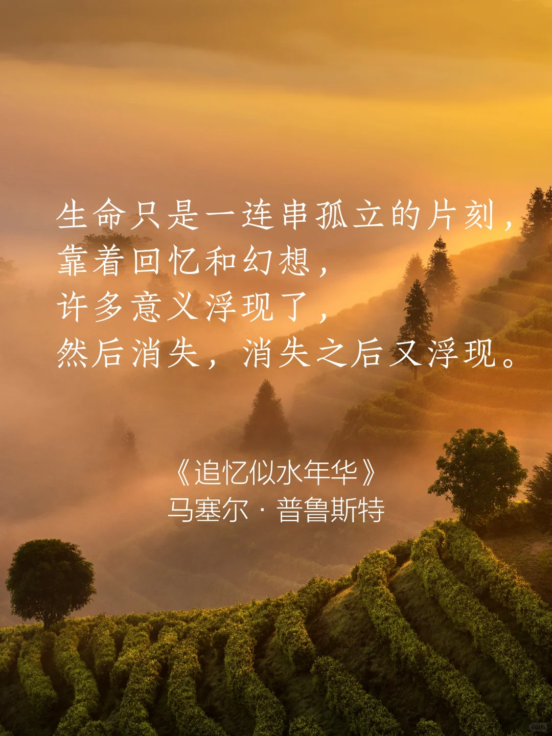 句子很短 后劲很大