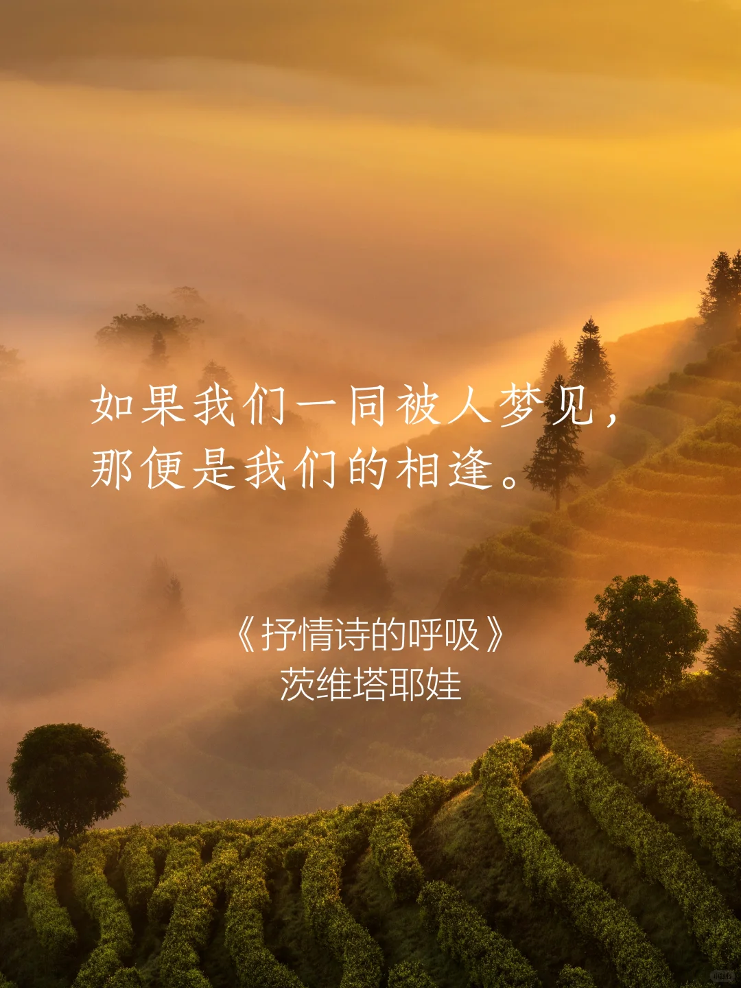 句子很短 后劲很大