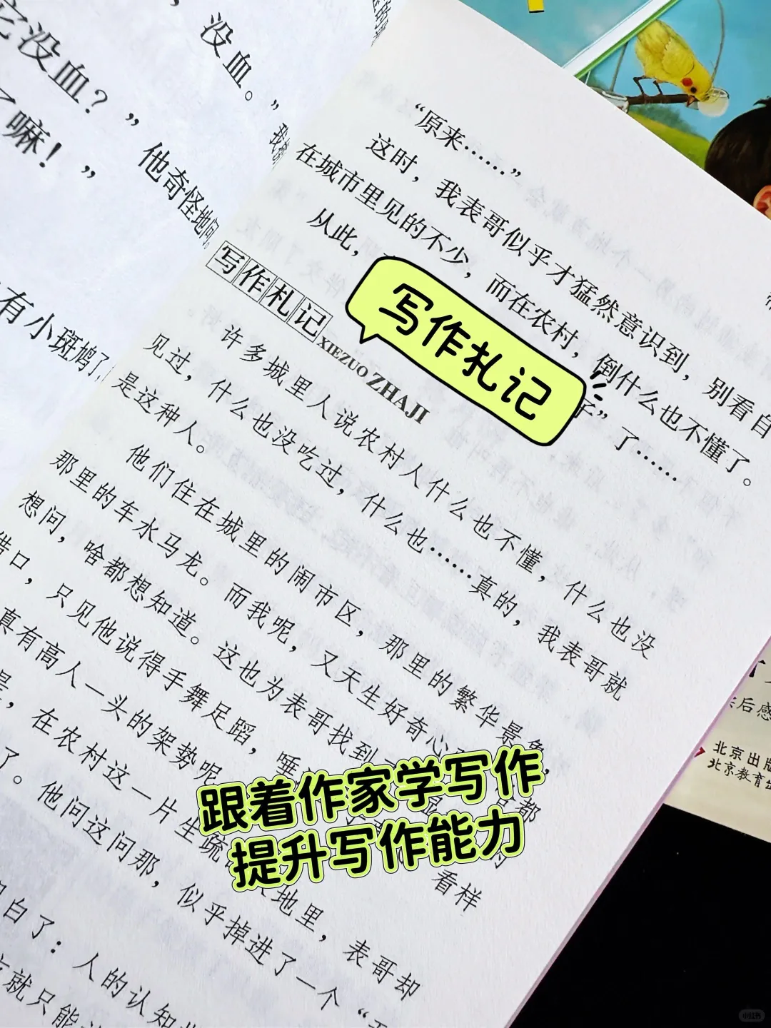 学霸写作文的优秀素材来源🔥🔥