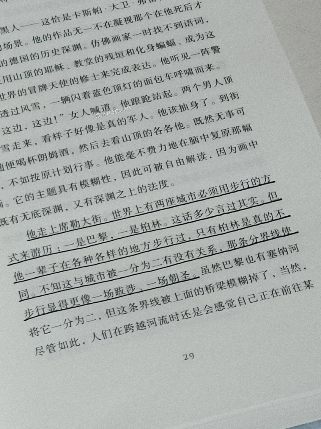 “但或许自由同时也意味着彻底的荒芜。”