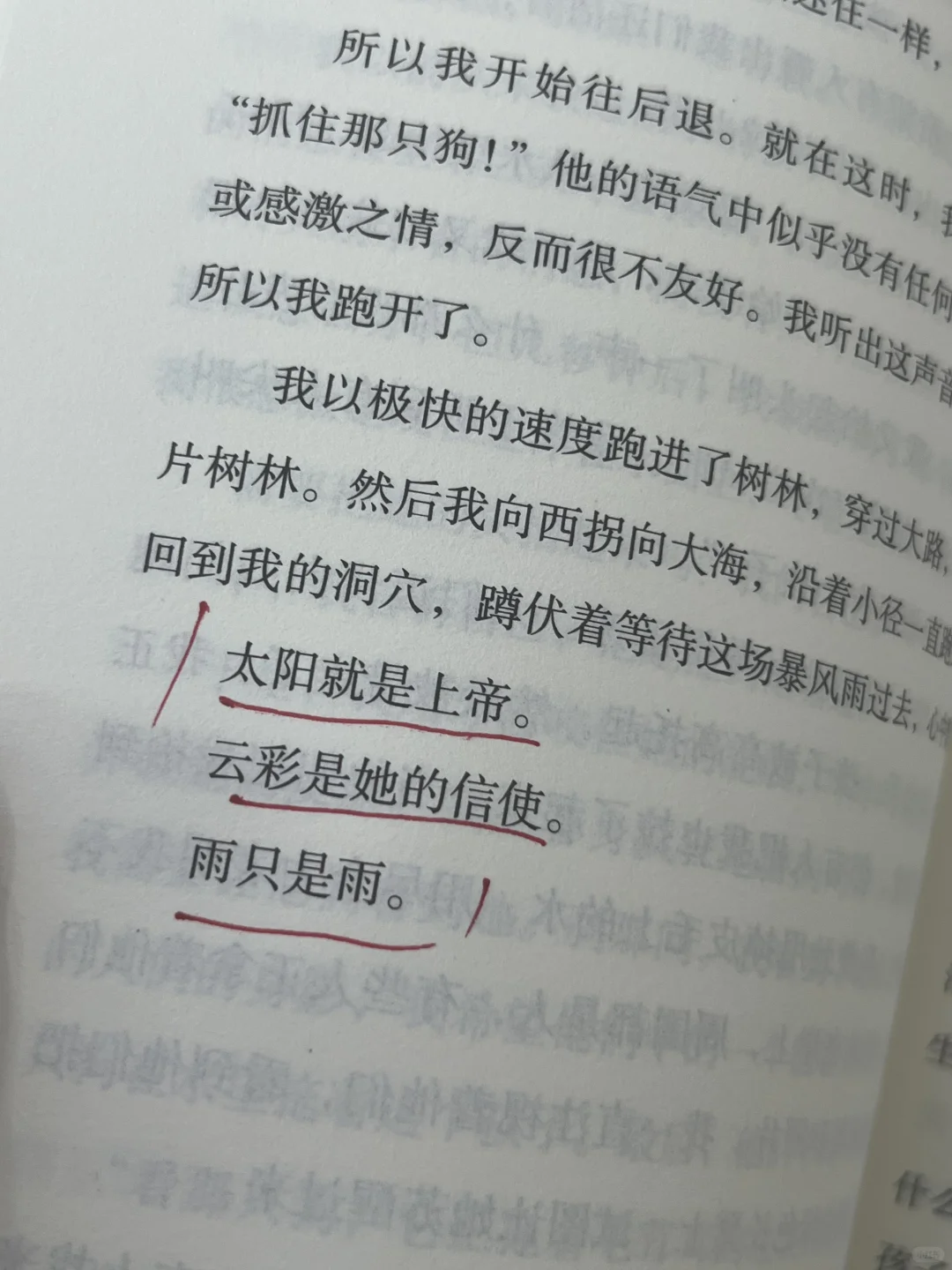 挖到宝了‼️我愿称之为儿童文学天花板！！！