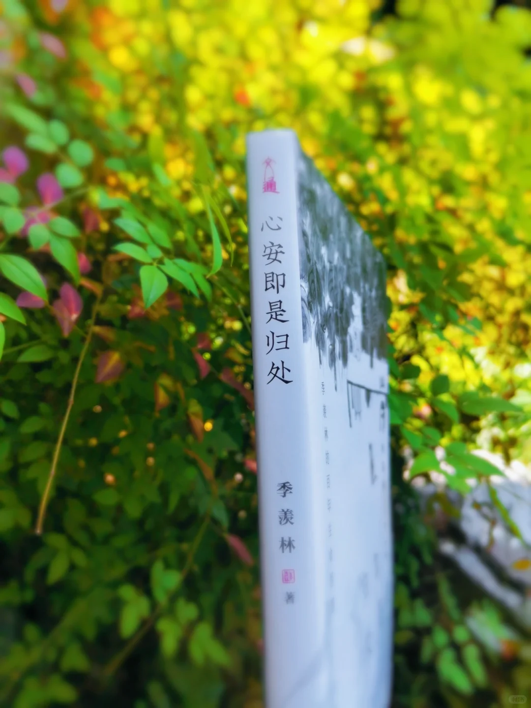 不愧是央视推荐好书|每一篇都值得一读再读