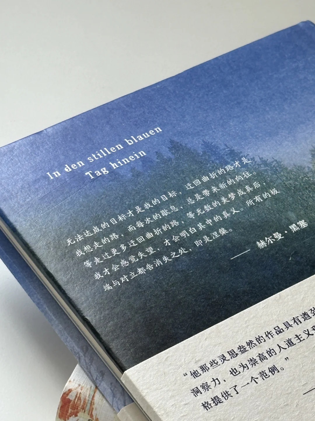 阅读书单｜这个月读到的仙品！每一本都好爱