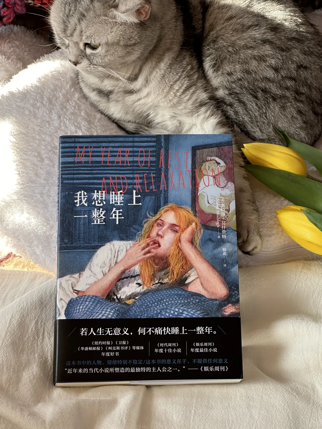 这本书像光一样救赎了我，狠狠共鸣了😭