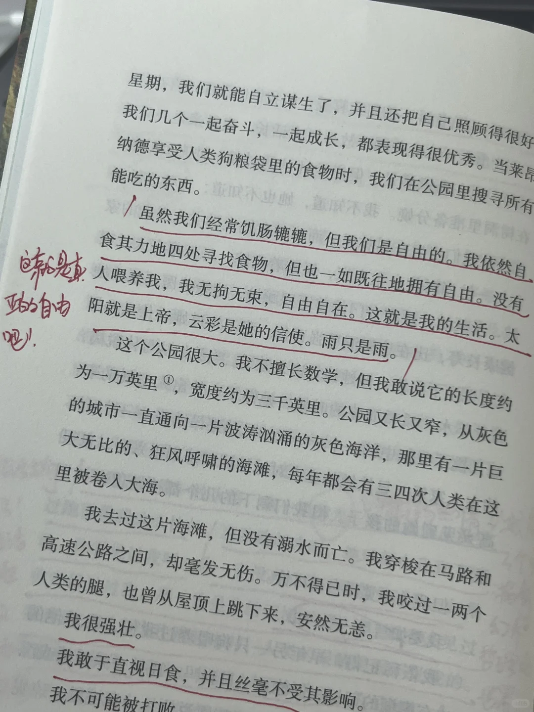 挖到宝了‼️我愿称之为儿童文学天花板！！！