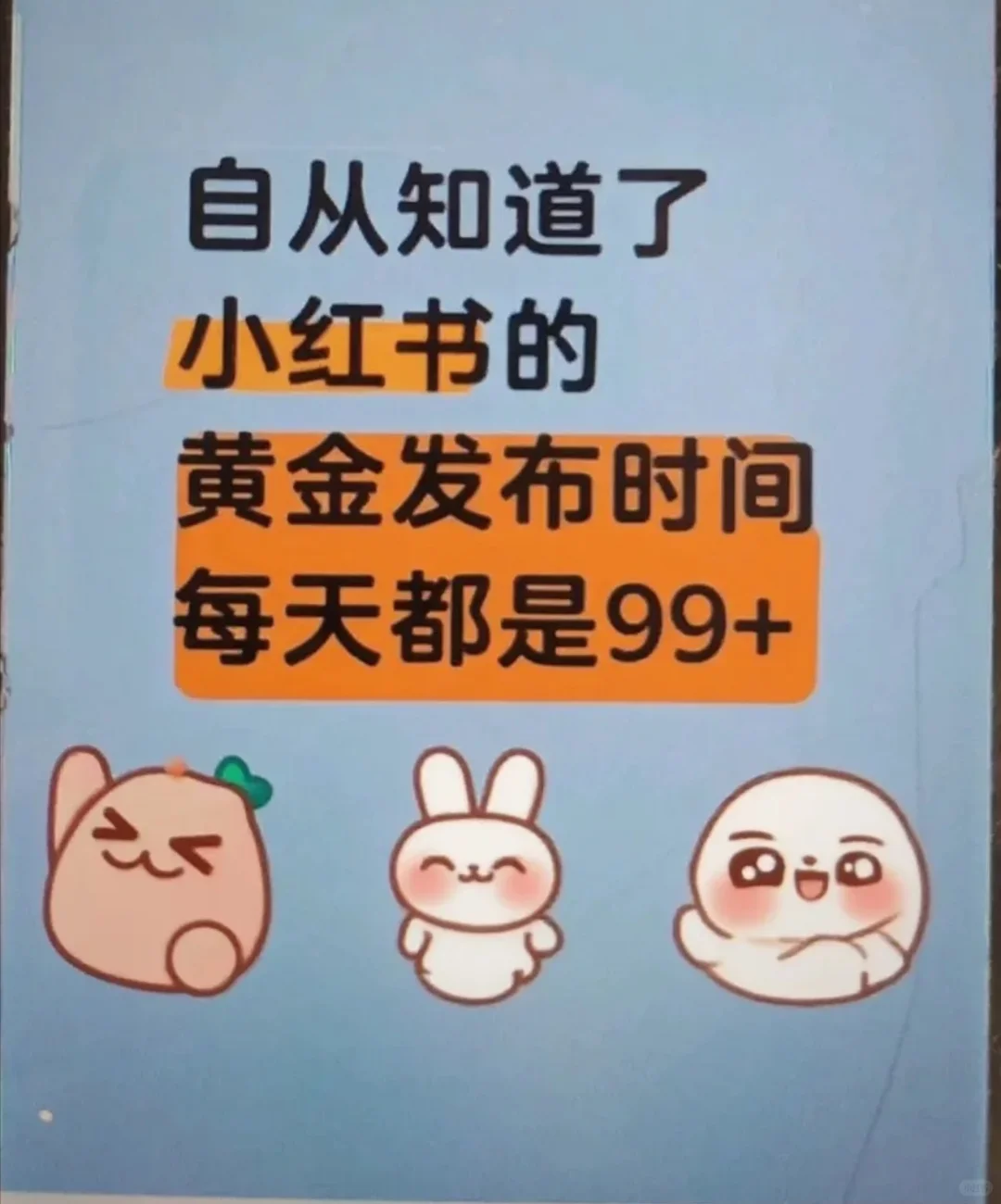 小红书的黄金发布时间