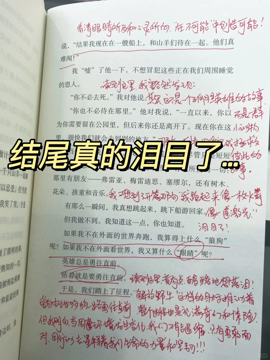 挖到宝了‼️我愿称之为儿童文学天花板！！！