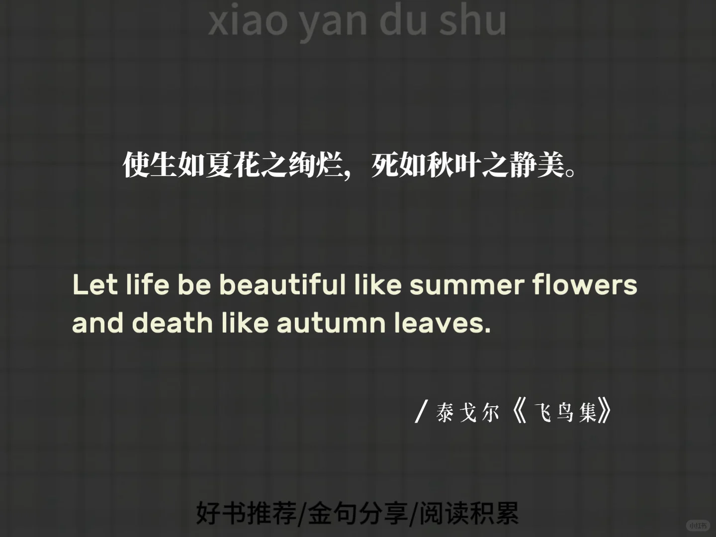 泰戈尔 | 《飞鸟集》里的经典语录！
