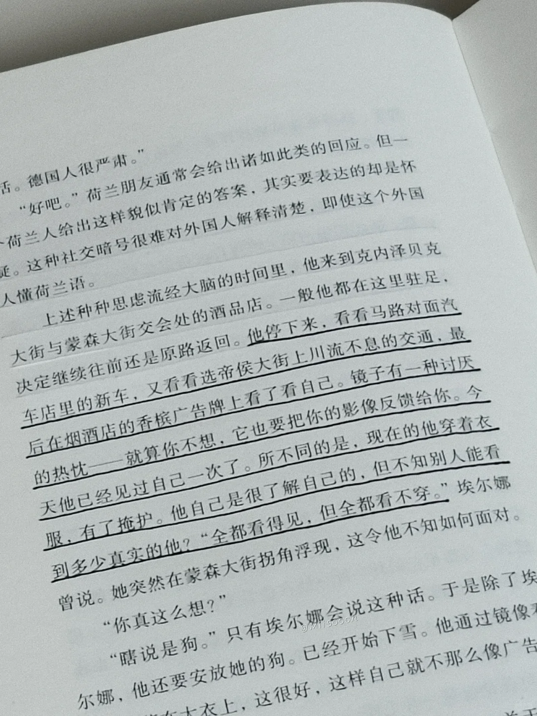 “但或许自由同时也意味着彻底的荒芜。”