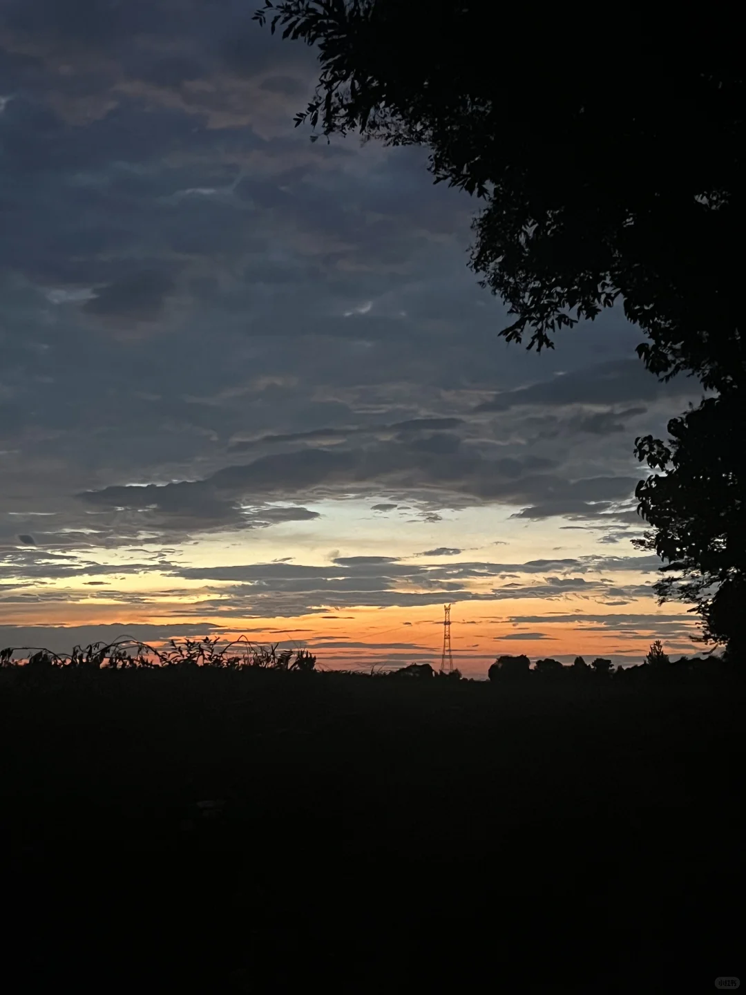 今天晚上的夜读开始！