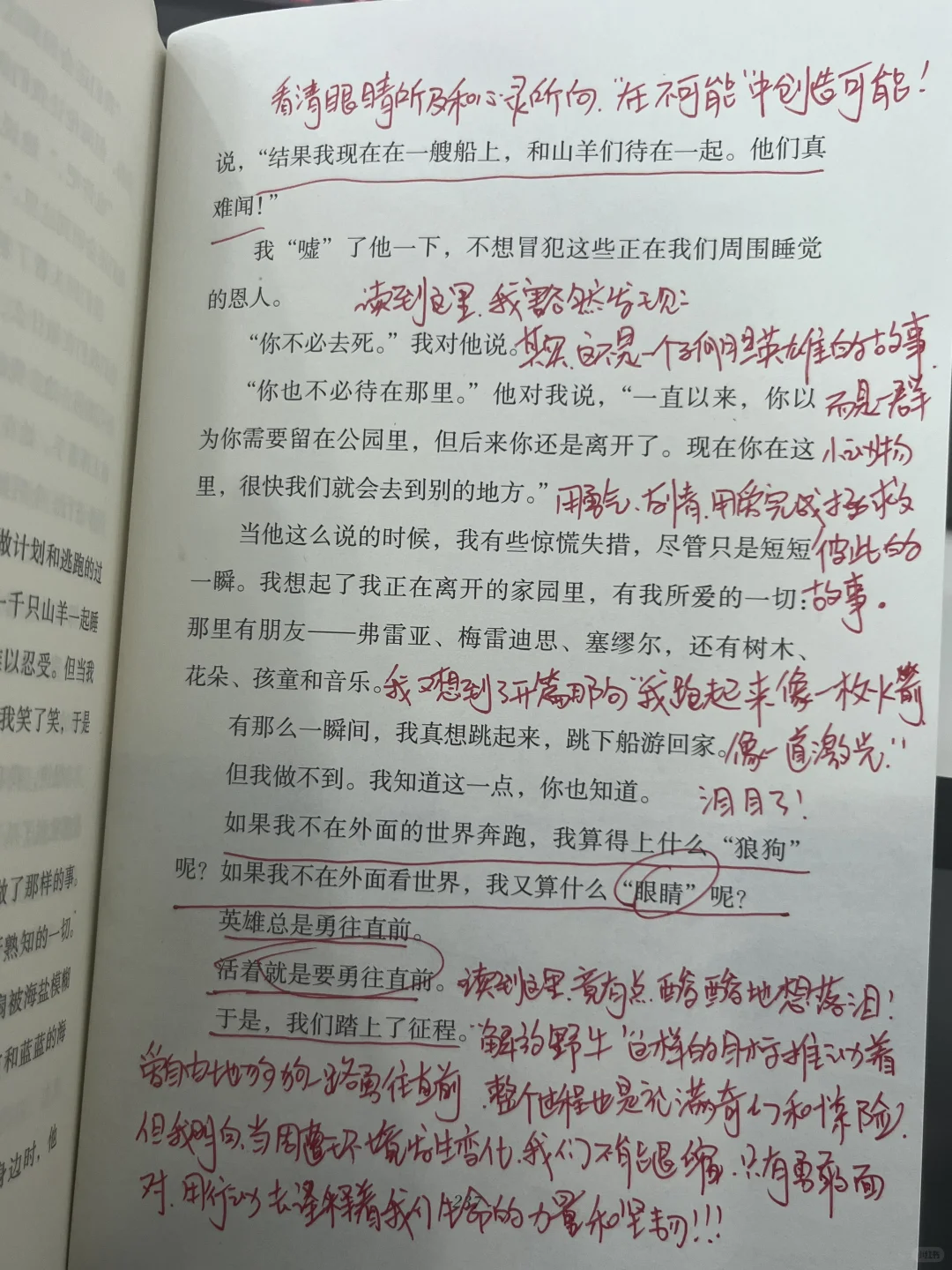 挖到宝了‼️我愿称之为儿童文学天花板！！！