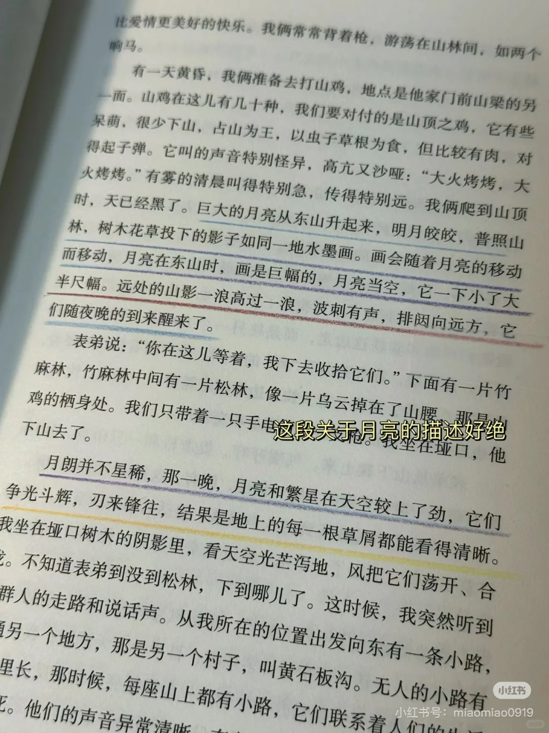 被人民日报种草的这本书太温暖太治愈了😭