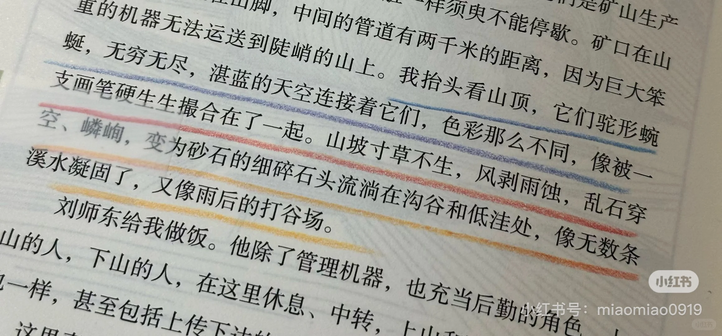 被人民日报种草的这本书太温暖太治愈了😭