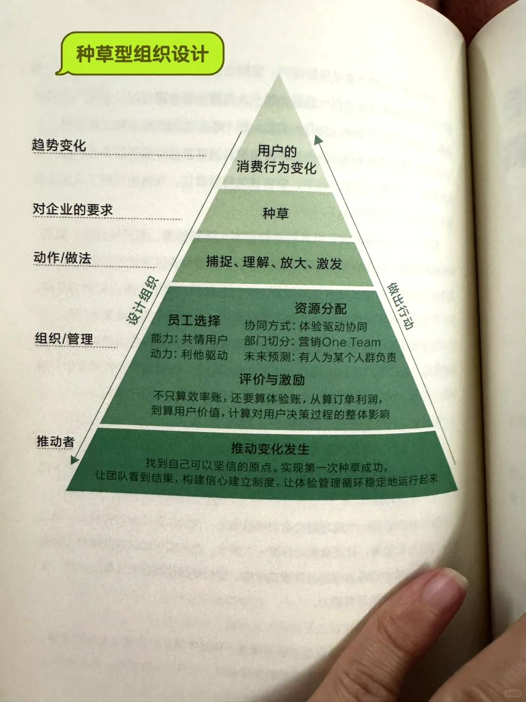 读书打卡｜32岁裸辞媒介对小红书种草的思考