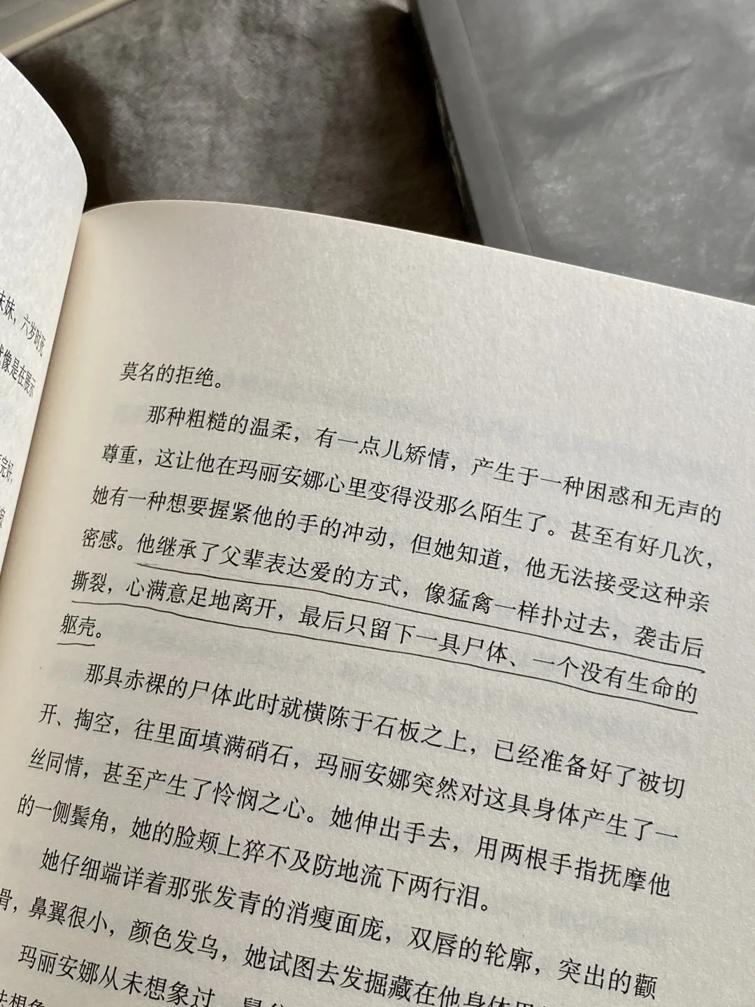 没人告诉我意大利小说好看成这样啊啊❕❕