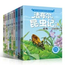 适合小学生阅读的书籍