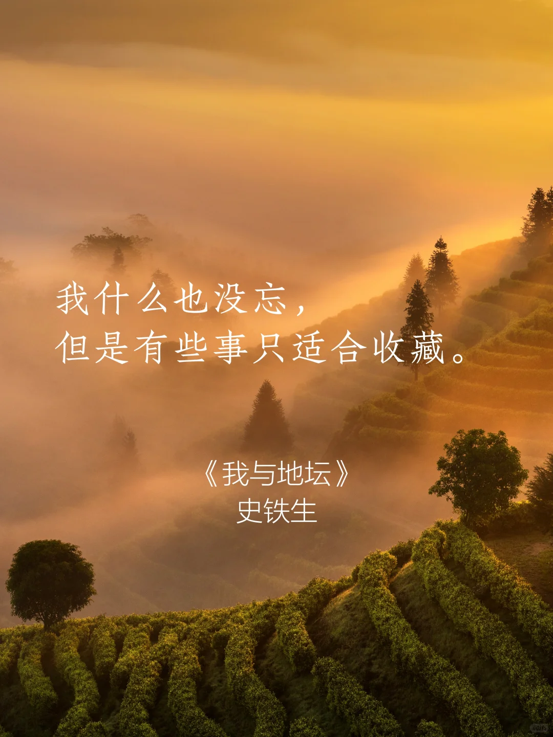 句子很短 后劲很大
