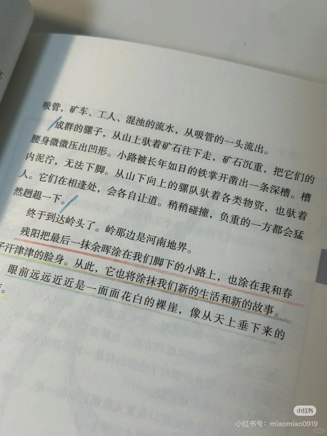 被人民日报种草的这本书太温暖太治愈了😭