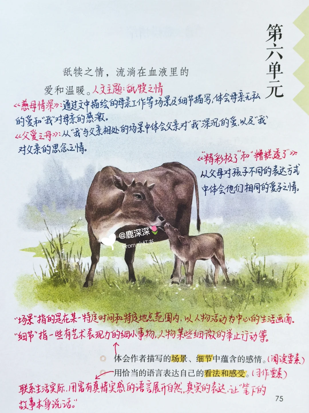 五上1-8单元单元导语解读 | 暑假必读书单