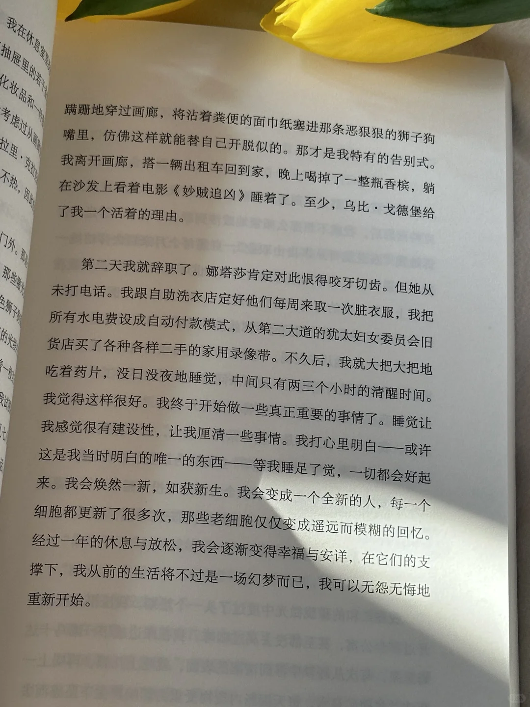 这本书像光一样救赎了我，狠狠共鸣了😭