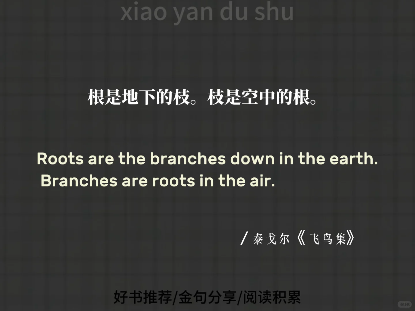 泰戈尔 | 《飞鸟集》里的经典语录！