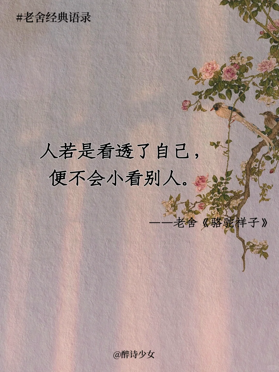 老舍笔下的绝美好句！