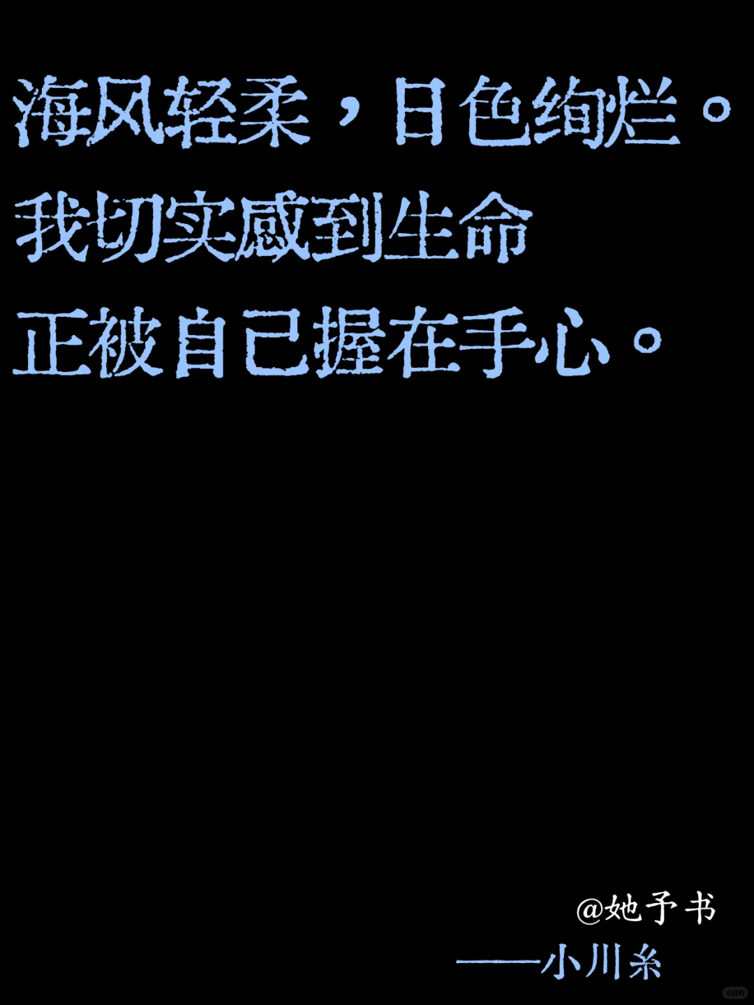 生命教我的事：不必完美，只需真实🌿