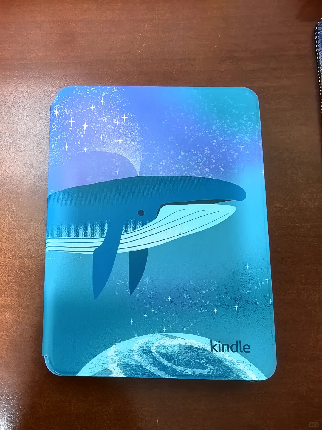 Kindle，突然就入了俩！