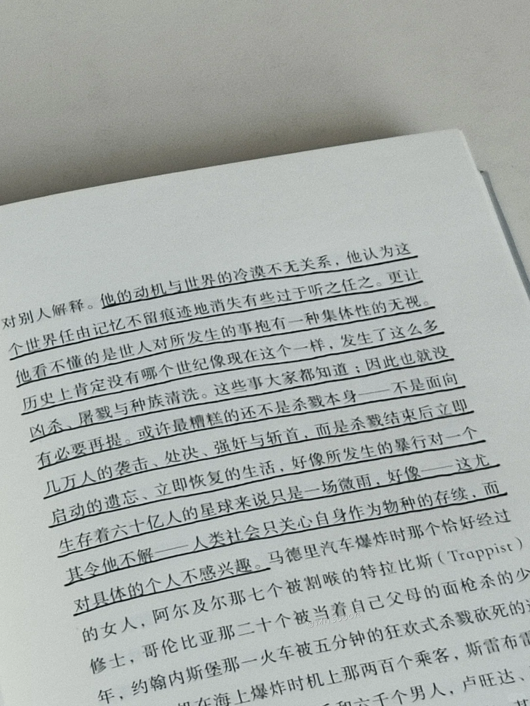 “但或许自由同时也意味着彻底的荒芜。”