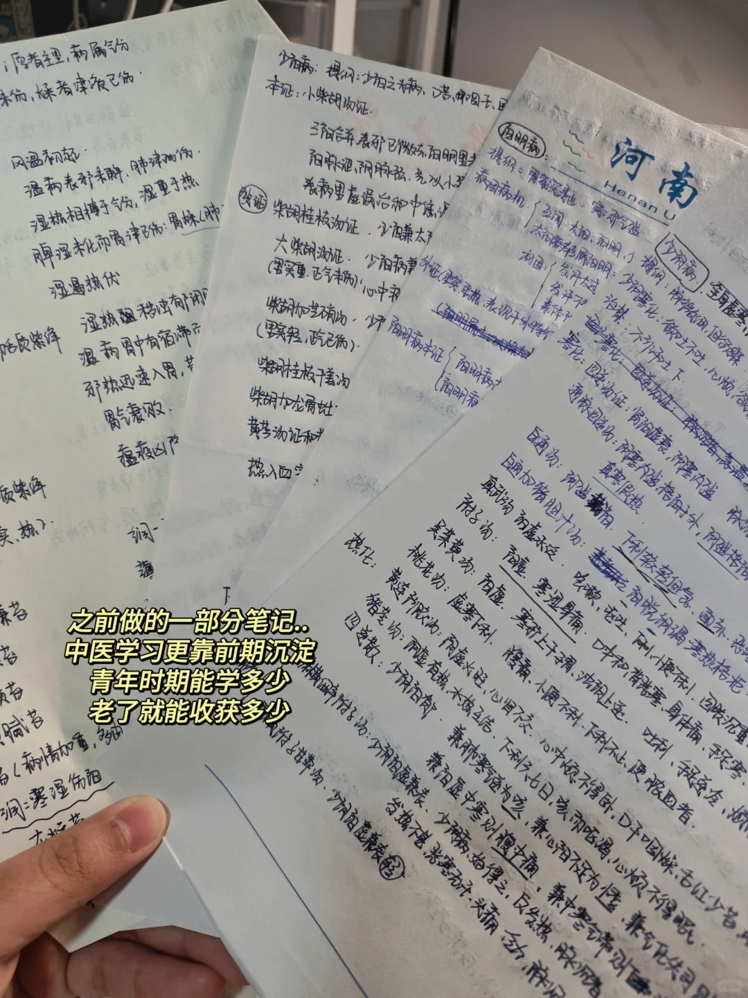学中医👉临床规培必备书单