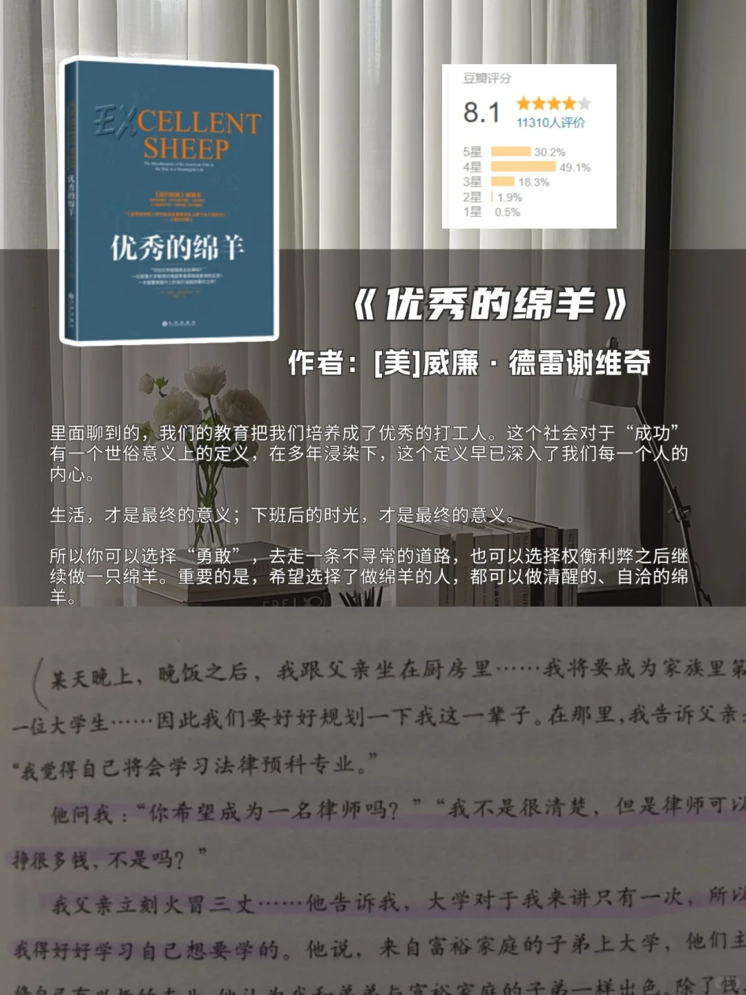 治愈系书单｜打工人必看6本书，都太会写了