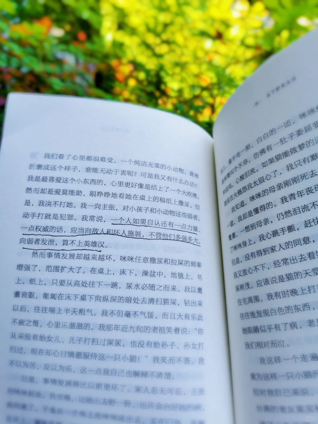 不愧是央视推荐好书|每一篇都值得一读再读