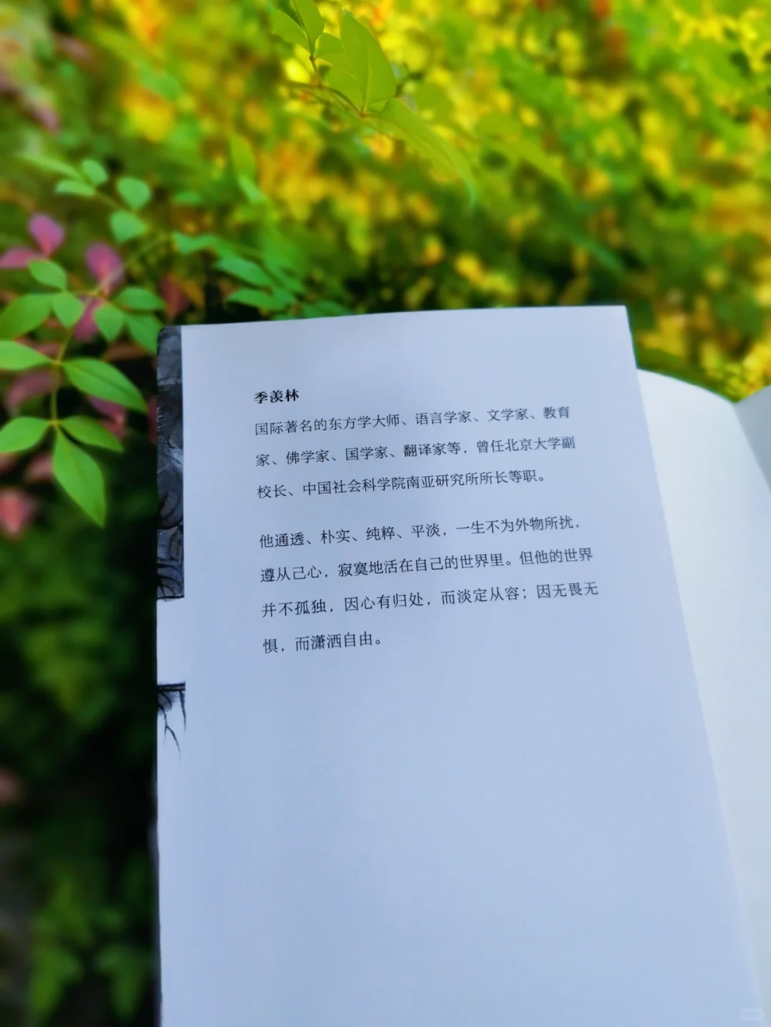 不愧是央视推荐好书|每一篇都值得一读再读