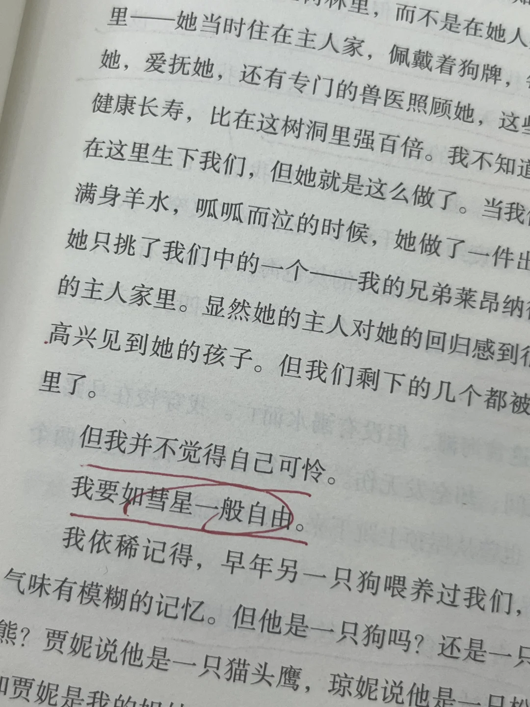 挖到宝了‼️我愿称之为儿童文学天花板！！！