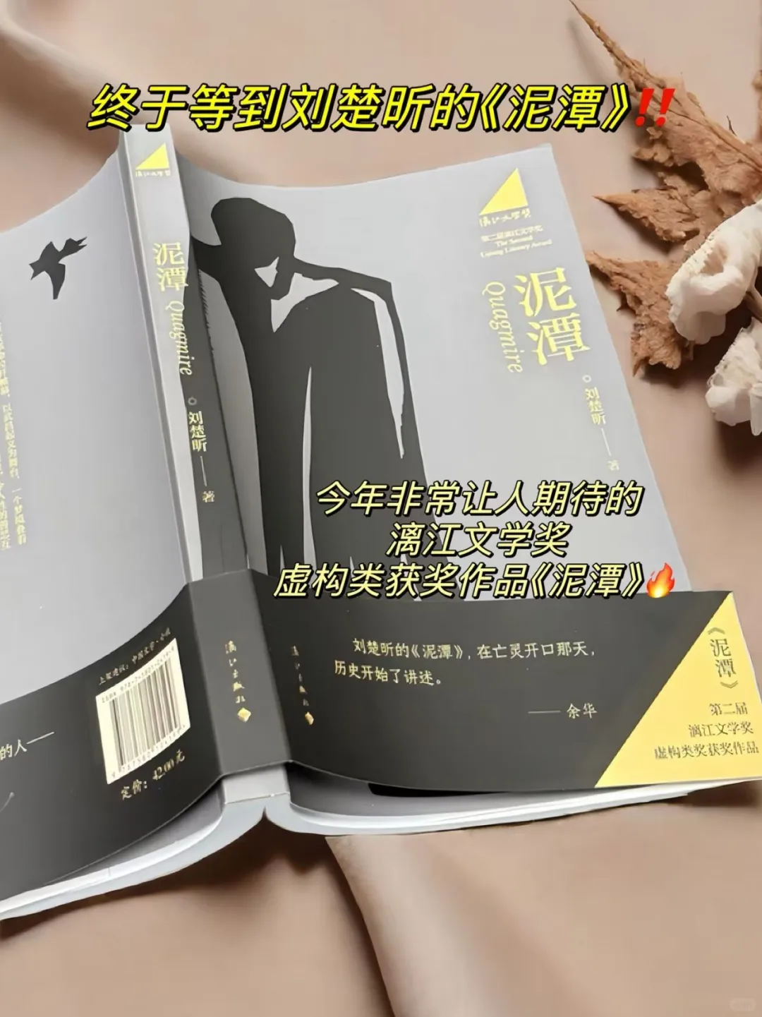 《泥潭》——在坠落中，触摸生命的质地 ?