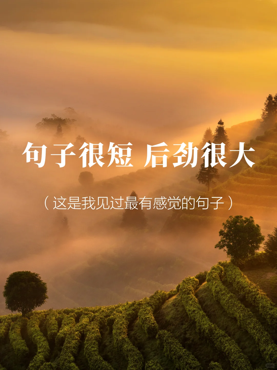 句子很短 后劲很大
