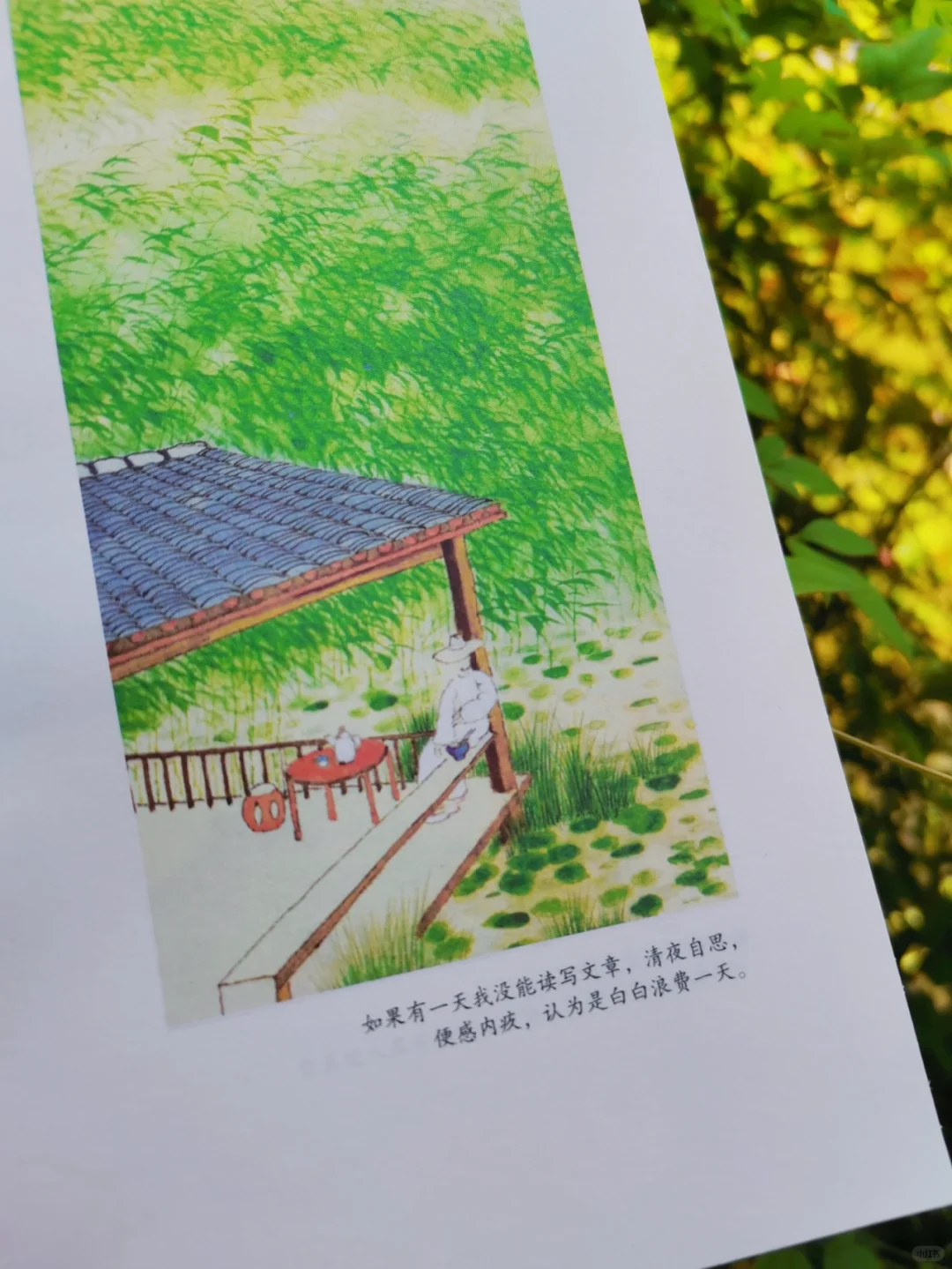 不愧是央视推荐好书|每一篇都值得一读再读
